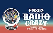 「FM802 ロックの大忘年会【FM802 RADIO CRAZY】第1弾出演者発表！」1枚目/16
