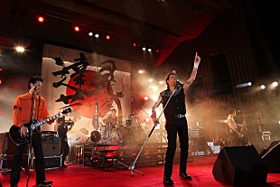 「THE MODS森山達也が野音で復活！ 35周年クライマックスでも圧巻のステージ」