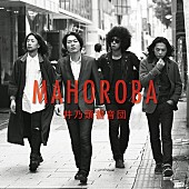 「井乃頭蓄音団 4thアルバム『MAHOROBA』12月リリース！ メンバーが直接メッセージを配信」1枚目/2