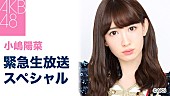 「AKB48小嶋陽菜「ファンへの重大な発表」緊急生放送スペシャル配信」1枚目/1