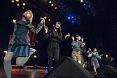 「BiSH 銀杏BOYZ/ガガガSPも出演【SET YOU FREE】初参戦！ 四星球/ボイガルとも狂乱「おまえら、ナメんじゃねぇぞぉぉぉ！」」1枚目/30