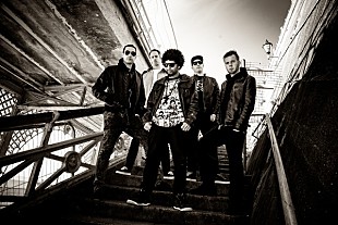 「ザ・ケミスツ、新作EPを12月リリース＆収録曲「Blind (Korn Cover)」MV公開」