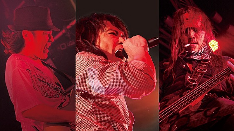 「LADIESROOM、12年ぶりNEWシングルをリリース 」1枚目/2