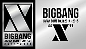 「BIGBANG 2年連続5大ドームツアー【2014～2015“X”】などライブ映像を4日連続配信」1枚目/1