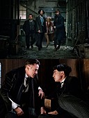 「『ファンタビ』大ヒット記念、強大な魔法使いの存在が明かされる特別映像が到着」1枚目/1