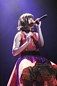 「“歌うま声優”として話題のMachico ツアーファイナルでロック魂全開アクト！ 『このすば！2』の新曲披露も」1枚目/15