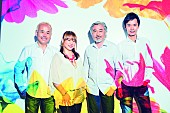 「CASIOPEA 3rd、結成40周年を記念し2017年4月にビルボード公演」1枚目/1