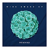 「FIVE NEW OLD、2017年ツアーゲスト追加発表＆新曲SPOT動画も公開」1枚目/1