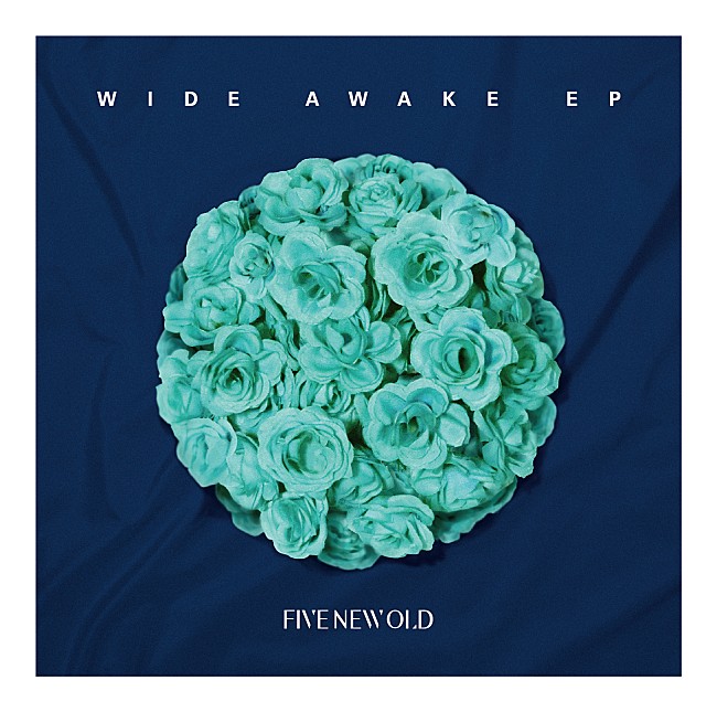 「FIVE NEW OLD、2017年ツアーゲスト追加発表＆新曲SPOT動画も公開」1枚目/1