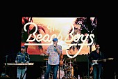 「ビーチ・ボーイズ、トランプ次期大統領の就任式への出演を要請される」1枚目/1