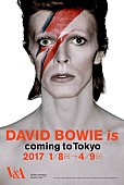 「大回顧展『DAVID BOWIE is』日本開催を記念し、ボウイのアナログLP盤4タイトルがカラー・レコードで1月発売」1枚目/5