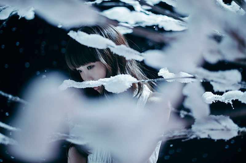 Aimer、来年2月リリースの新曲「凍えそうな季節から」は倉科カナ主演ドラマのOPテーマ
