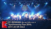 「HY+BIGMAMA ライブBD/DVD『Synchronicity Tour 2016』ティザー映像公開」1枚目/3