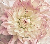 「ACIDMAN、全国5大都市のラジオ番組でニューシングル『愛を両手に』をOA解禁」1枚目/2