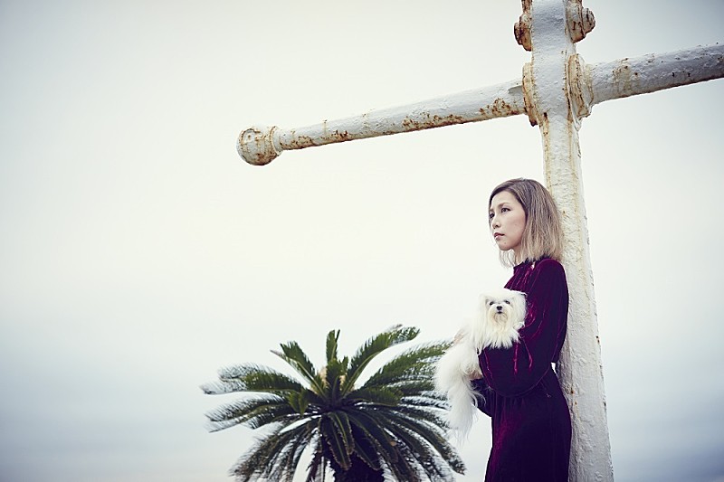 「話題のシンガー・ソングライターsebuhiroko、1/13(金)にNHK『あさイチ』生出演＆生パフォーマンス決定」1枚目/3