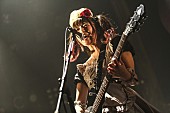 「メイド服でロックするBAND-MAID 新年初「お給仕始めます」赤坂BLITZもSOLD OUT！ 初の全国ワンマンツアー開催決定も」1枚目/9