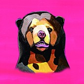 「Album Review：ポップスの礎を再認識させる、ANATAKIKOUの最新作であり新たなスタート」1枚目/1