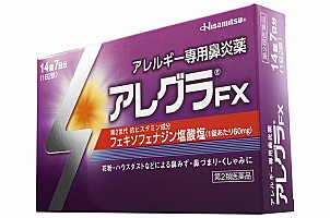嵐 大野智 アレグラFX販促品　ミニ旗２個セット 嵐 大野智 アレグラFX販促品 ミニ旗2個セット 【公式通販】