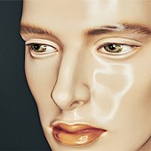 「ドレスコーズ 最新コンセプトアルバム『平凡』全楽曲タイトル・歌詞を公開」1枚目/6