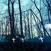 「the GazettE バラードベスト『TRACES VOL.2』アートワーク＆収録曲順を公開」1枚目/3