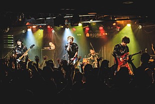 「Thinking Dogs バレンタイン・イブの手作りワンマンも大盛況！ 新シングル発売も報告」