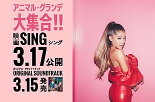 「アリアナ・グランデのMVにあなたのペットが出演？ 企画「アニマル・グランデ大集合!!」スタート」