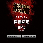 「SiM 主催フェスティバル【DEAD POP FESTiVAL】2days開催決定」1枚目/1