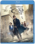 「映画『ファンタビ』BD＆DVDリリースは4月！ 特別予告映像も公開」1枚目/3