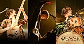 「WEAVER ライブハウスツアー【Shake! Shake!】オープニングアクトを一般募集」1枚目/1