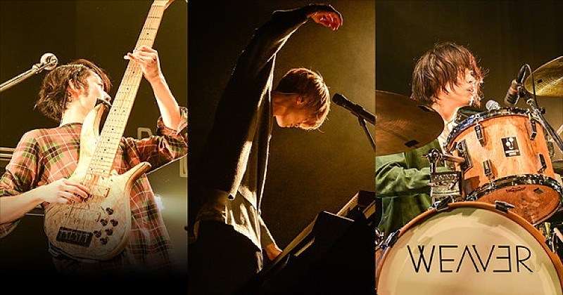 「WEAVER ライブハウスツアー【Shake! Shake!】オープニングアクトを一般募集」1枚目/1