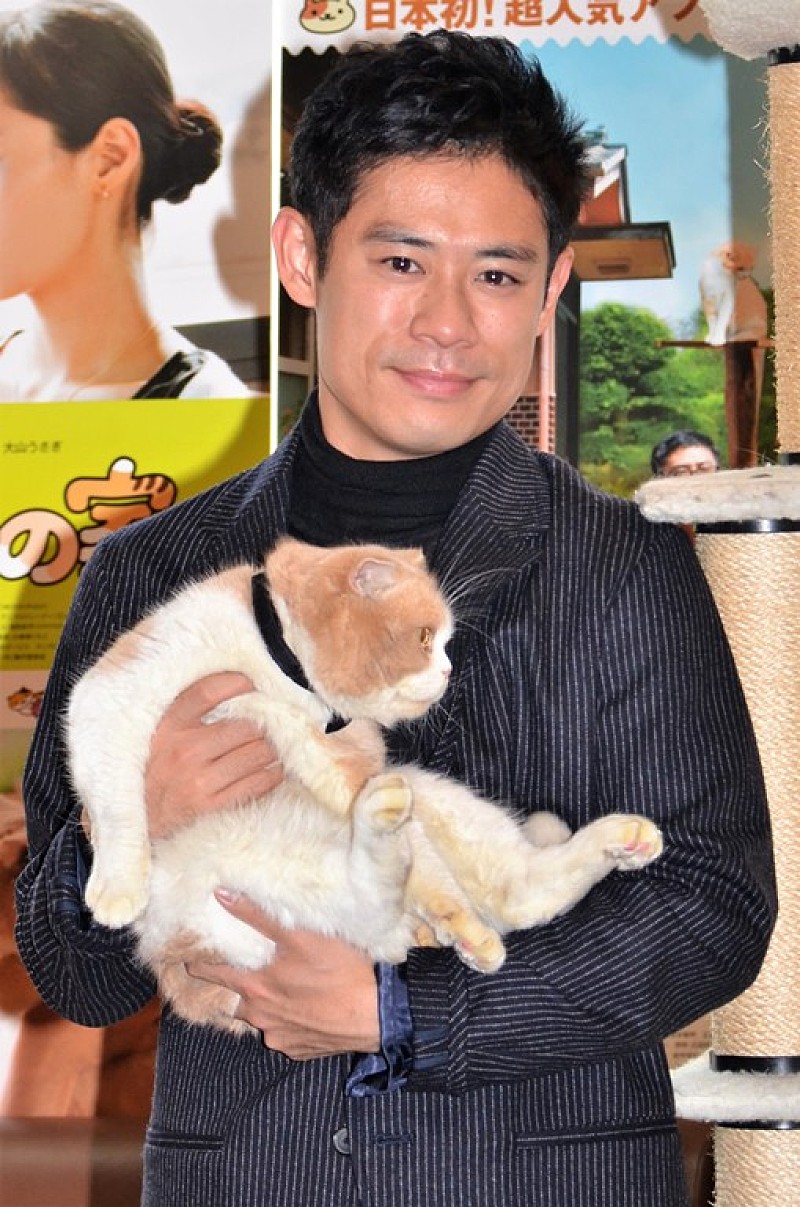 ねこあつめの家 の伊藤淳史 実は犬を飼っています 猫のシナモン ドロップが宣伝アンバサダ に就任 Daily News Billboard Japan