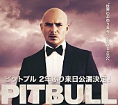 「ピットブル2年ぶりの来日公演、武道館含む東阪で開催」1枚目/3