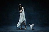 「Aimer ベスト収録の新曲「March of Time」JAL日本航空とのコラボMV公開」1枚目/5