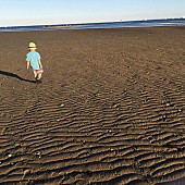 「【深ヨミ】小沢健二、19年ぶりSG『流動体について』売上げ動向」1枚目/1