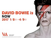 「大回顧展【DAVID BOWIE is】ホワイトデー企画スタート！ 当日3月14日は来場者全員プレゼントも」1枚目/3