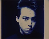 「大澤誉志幸デビュー35周年を記念した豪華DVD BOXが発売」1枚目/2