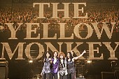 「THE YELLOW MONKEY、17年ぶり東京ドーム公演決定＆5月にベストAL発売」1枚目/1