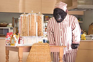 「相葉雅紀、４月で共同生活１年！？　「元気で仲良くやっています」」