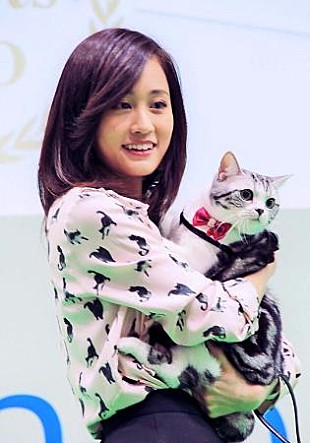 「前田敦子、愛猫との暮らしぶりを披露　猫仲間の指原莉乃が「家に来て…」」