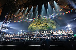 「欅坂46＆けやき坂46が全員楽曲MVの再制作を発表　けやきは今夏オーディションも」