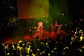 「ライオン・ベイブ来日、マイケル・コースのイベントに出演」1枚目/16