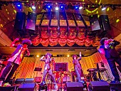 「「花見はいいけどゴミは持って帰れ」花見スポット・代々木公園にアフロ集団“コレガゼンリョクズ”乱入」1枚目/2