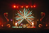 「MISIA ド迫力な演出で注目された【TOUR OF MISIA】ファイナル公演がBlu-ray/DVD化」1枚目/5
