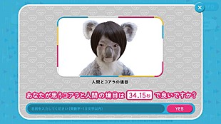 「コアラモード.×金沢動物園、人間とコアラの境界線を探るPV公開」