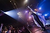 「Do As Infinity デビュー18年目で初の台湾ワンマンライブ開催決定」1枚目/4