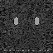 「COJA-9324-5」4枚目/6