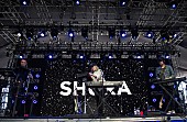 「Shura (Photo: Roger Ho / Courtesy of Coachella)」28枚目/29