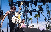 「Ezra Furman (Photo: Charles Reagan Hackleman / Courtesy of Coachella)」30枚目/34