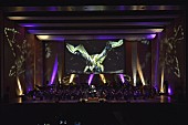 「「モンスターハンターオーケストラコンサート 狩猟音楽祭2016 より」
」3枚目/4
