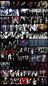 「the GazettE、9年ぶり大型野外ライブの曲リクエスト募集スタート」1枚目/1
